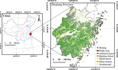 Simulation and prediction of changes in tree species composition in subtropical forests of China using a nonlinear difference equation system model